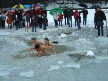 Nieuwjaarsduik
