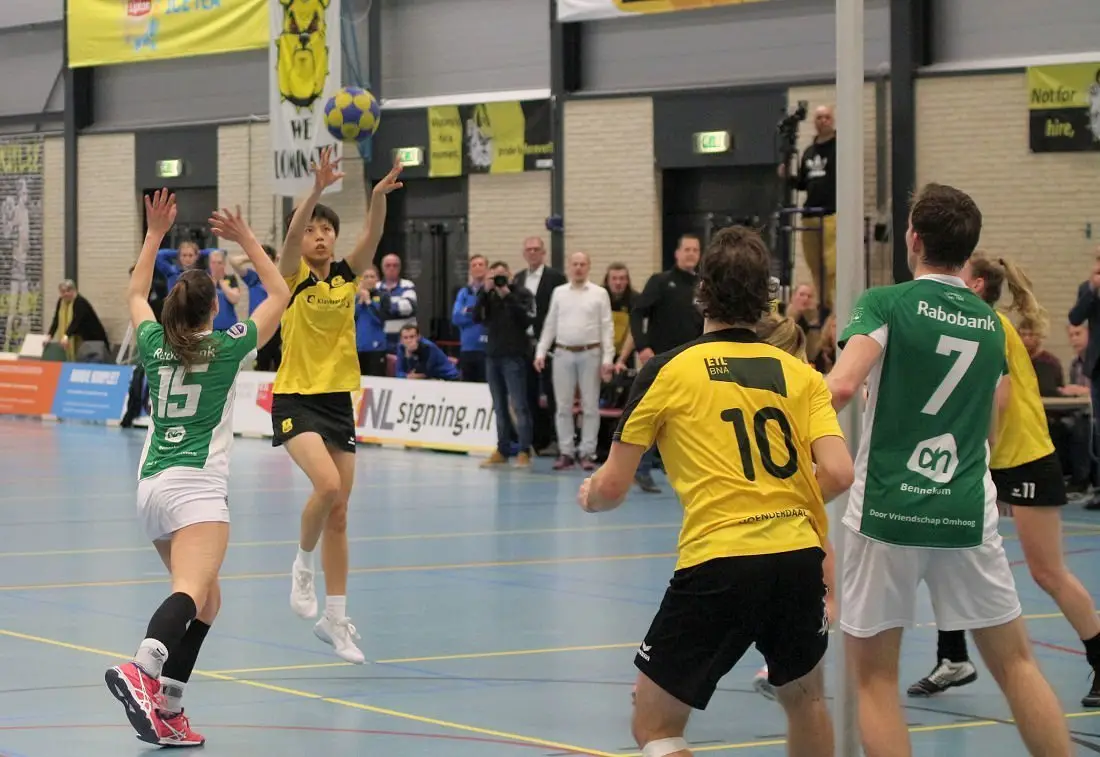 Dalto/Klaverblad Verzekeringen - DVO/Accountor
