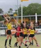20200912 Dalto3 AWDTV2 064 144x170 1 - Dalto/Klaverblad Verzekeringen - Korfbal - Driebergen