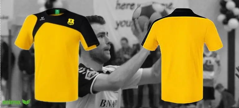 Iintroductie Daltoshirts 2017