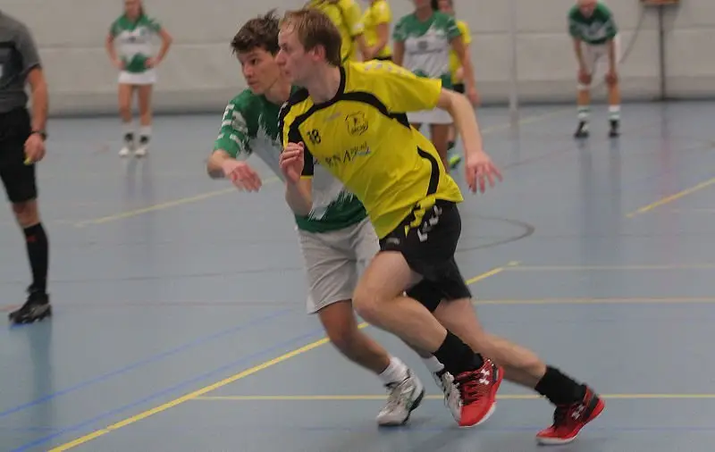 Dalto/BNApp.nl 2 - DVO/Accountor 3
