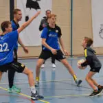 Dalto 20