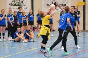 dalto 24 - Dalto/Klaverblad Verzekeringen - Korfbal - Driebergen
