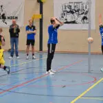 Dalto 25