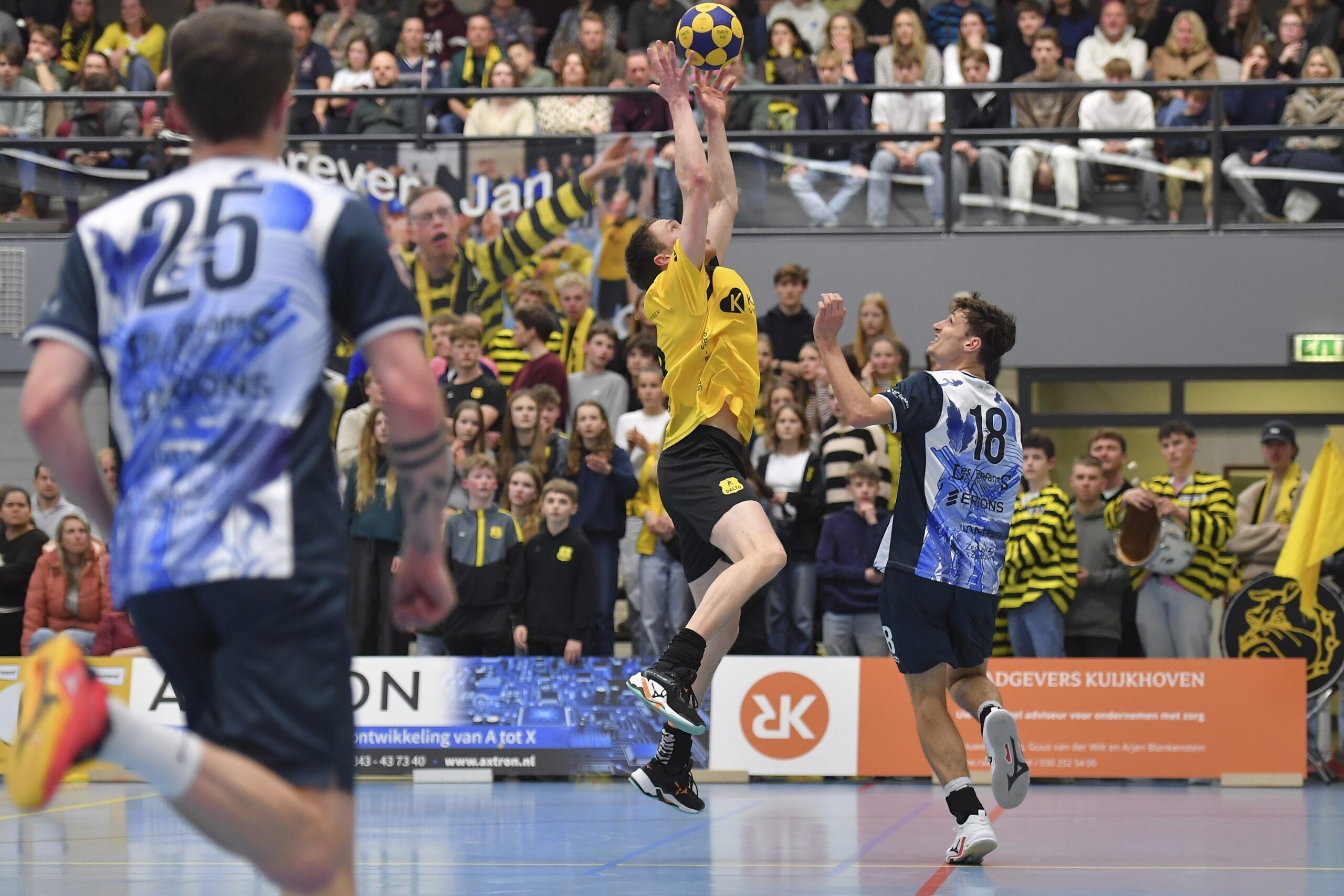 ND5 2336 Dalto Fortuna