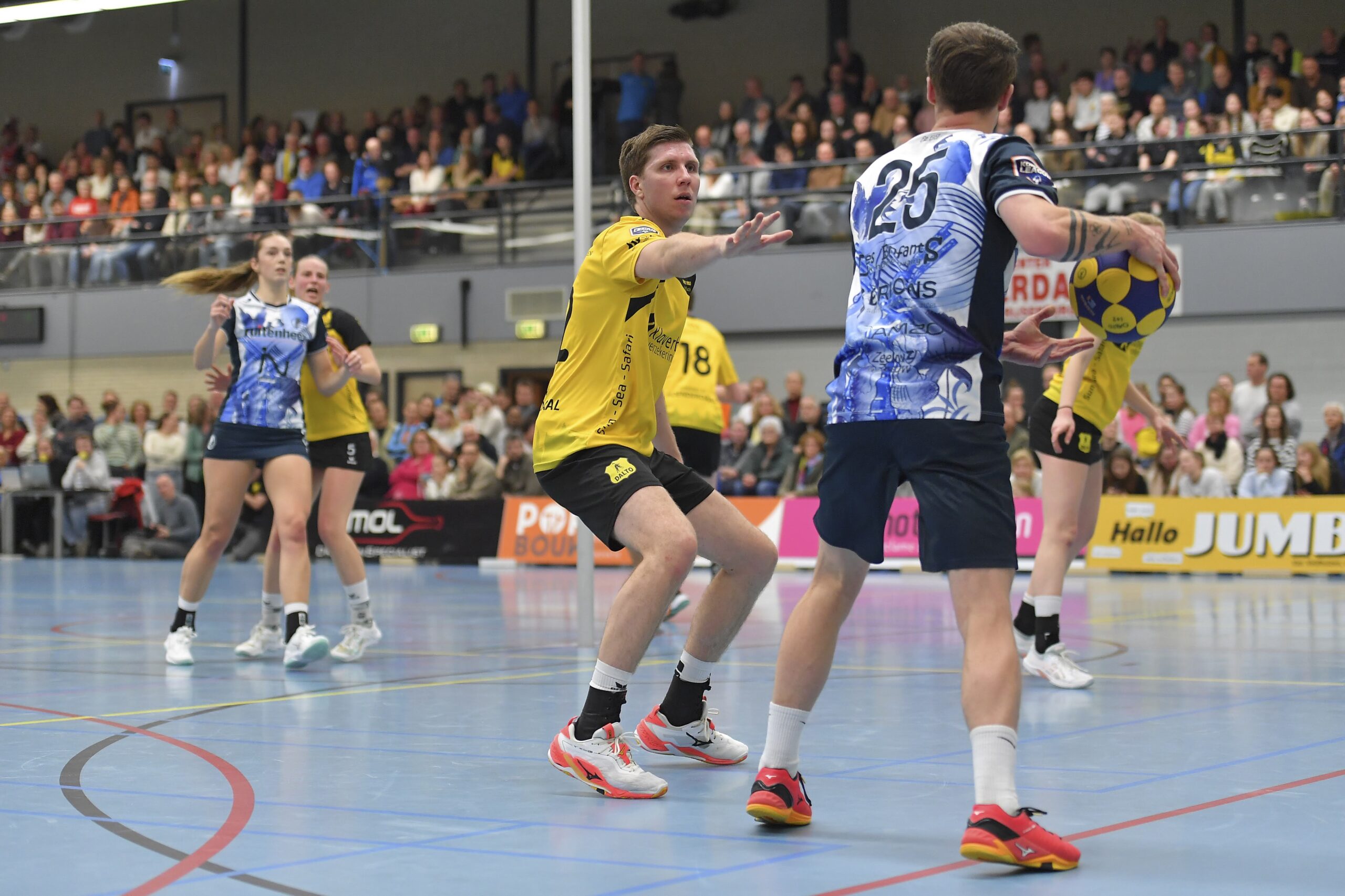 ND5 2430 Dalto Fortuna