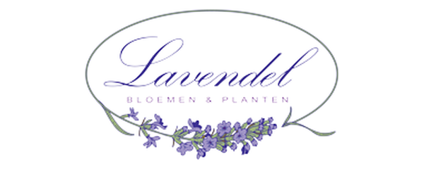 Lavendel, bloemen en planten