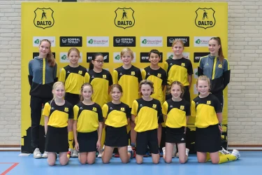 Dalto J11