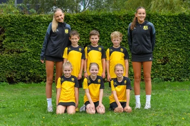 Dalto J17