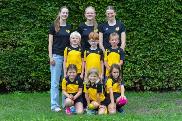 Dalto J19